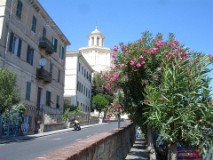 16: 1_DSC00880_lores