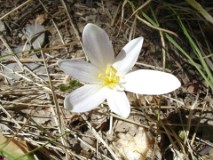 24: 1_DSC00915_lores