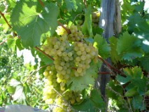 20: 1_DSC00919_lores