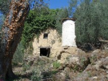 25: 1_DSC00935_lores