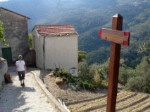 33: 1_DSC00992_lores