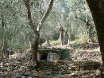 38: 1_DSC01004_lores