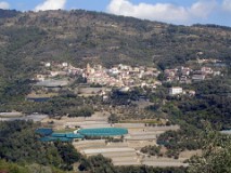 40: 1_DSC01022_lores