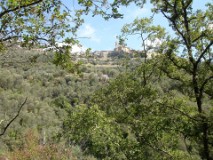 43: 1_DSC01023_lores