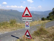 41: 1_DSC01039_lores