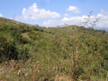 42: 1_DSC01040_lores