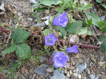 45: 1_DSC01049_lores