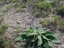 46: 1_DSC01050_lores