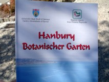 48: 1_DSC01059_lores