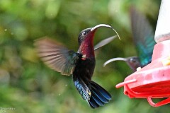 18: 1D51_4488_1920_s