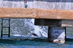 23: 1D51_5934_1920_s