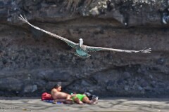 26: 1D51_5974_1920_s