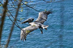 34: 1D51_6025_1920_s