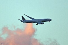 39: 1D51_6061_1920_s