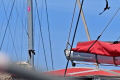 25: 1D51_5718_1920_s