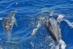 28: 1D51_5769_1920_s