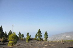 LaPalma 2009 Casa Gaby