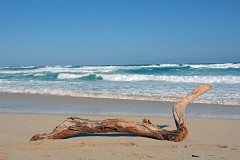 Mallorca FebMärz 2016