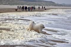 Noordwijk (NL) 05_2026