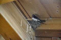 14: 265_DSC_9700_1920_1920