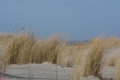 Norderney 2017 März
