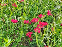 2: 120240704_111646_1920