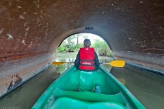 15: 120240704_120312_1920