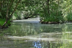 Périgord Vendée 2024 Juni