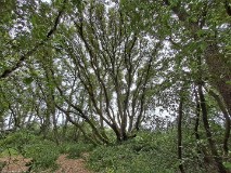 4: 120240702_115008_1920