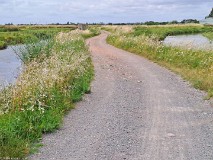 21: 120240703_160426_1920