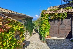 33: 120240923_120641_1920