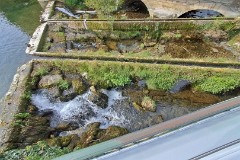 2: 120240925_141901_1920