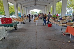 16: 120240924_115219_1920