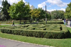 18: 1_DSC_5412_lores