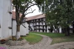 27: 1_DSC_5429_lores