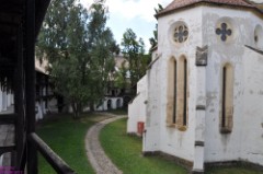 32: 1_DSC_5435_lores