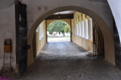 34: 1_DSC_5442_lores