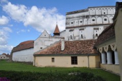 33: 1_DSC_5444_lores