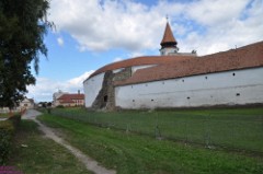 37: 1_DSC_5445_lores