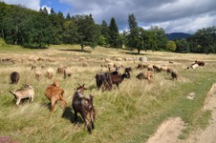 47: 1_DSC_5456_lores