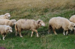 45: 1_DSC_5465_lores