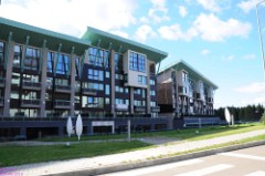 50: 1_DSC_5475_lores