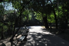 23: 1_DSC_5097_lores