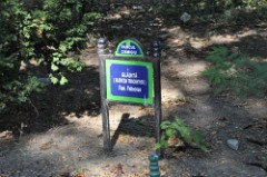 26: 1_DSC_5107_lores