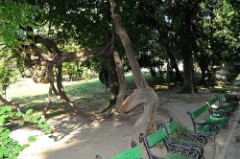 30: 1_DSC_5112_lores