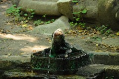 32: 1_DSC_5118_lores