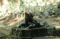 31: 1_DSC_5120_lores