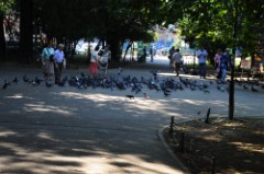 37: 1_DSC_5140_lores