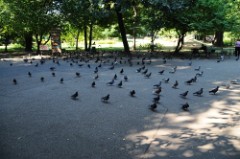 38: 1_DSC_5142_lores