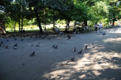 44: 1_DSC_5144_lores